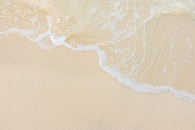 根和茎课后反思